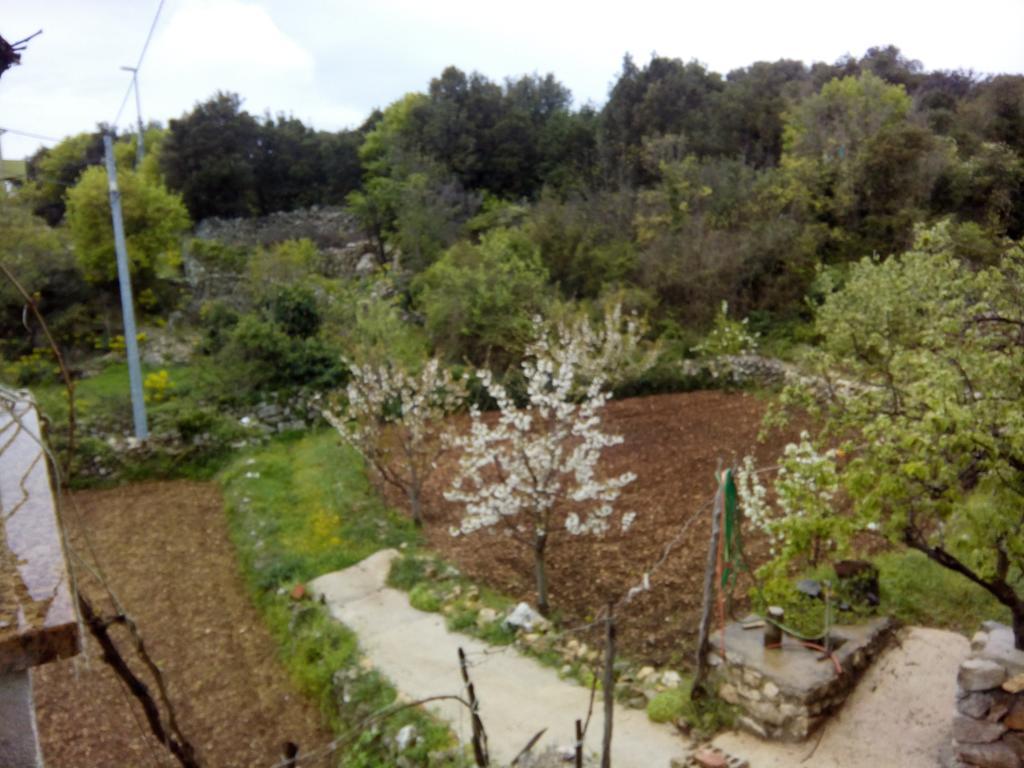 Holiday Home Loznati Cres Buitenkant foto