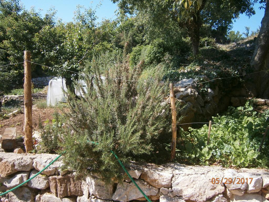 Holiday Home Loznati Cres Buitenkant foto