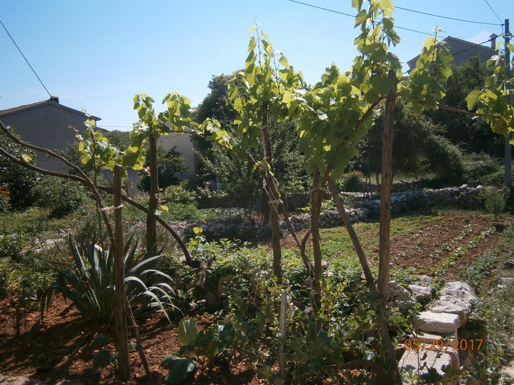 Holiday Home Loznati Cres Buitenkant foto