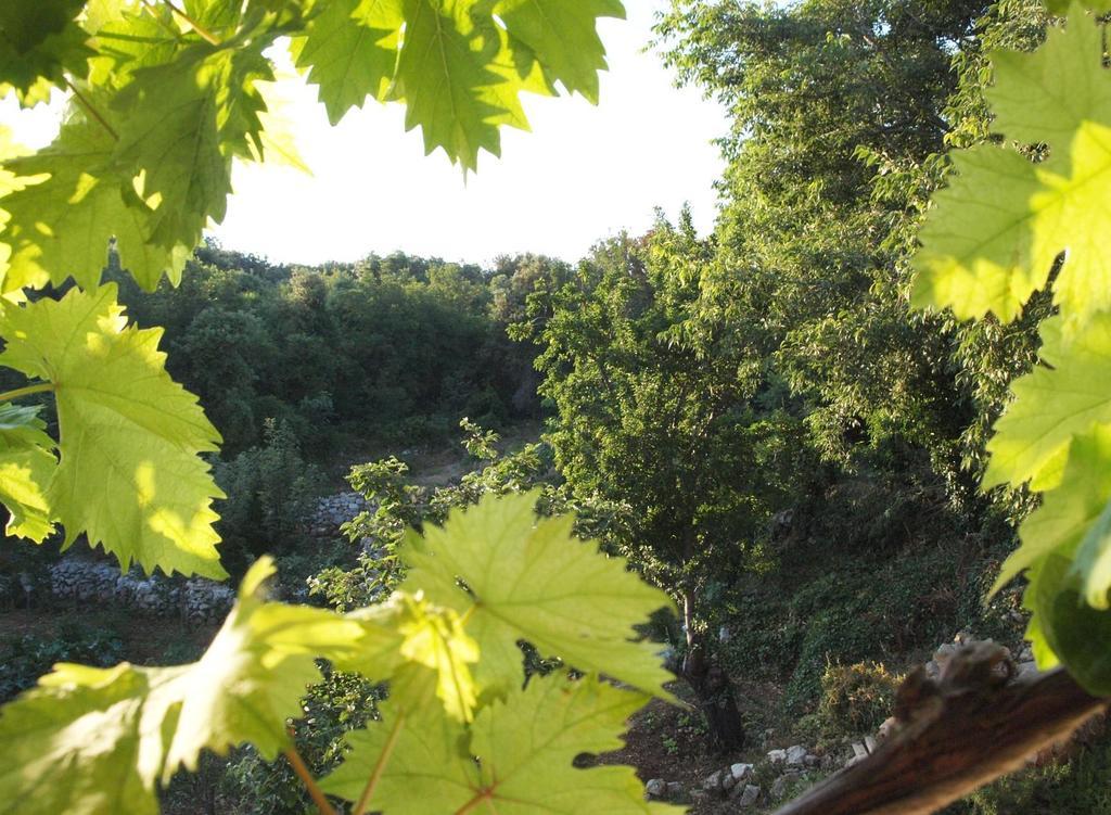 Holiday Home Loznati Cres Buitenkant foto