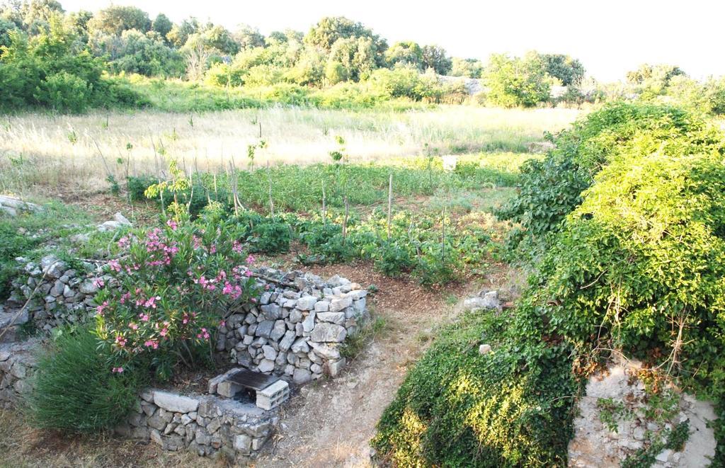 Holiday Home Loznati Cres Buitenkant foto