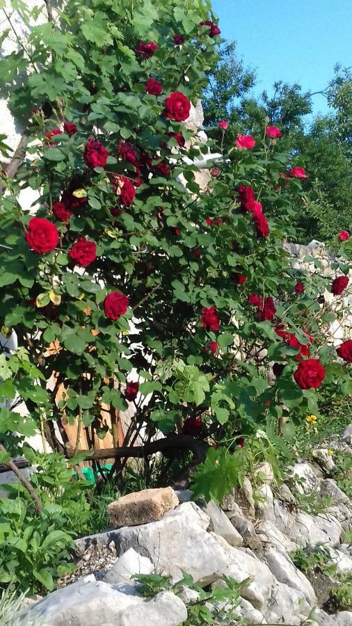 Holiday Home Loznati Cres Buitenkant foto